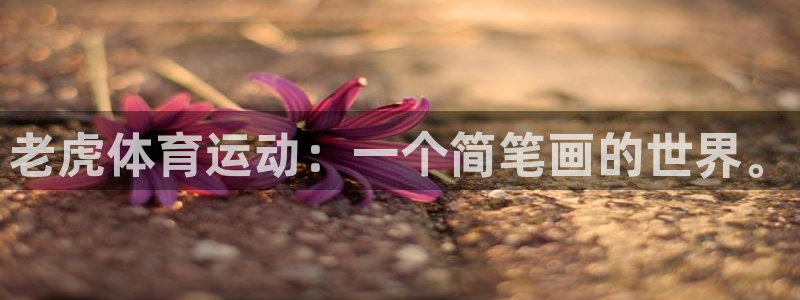 哈哈体育下载